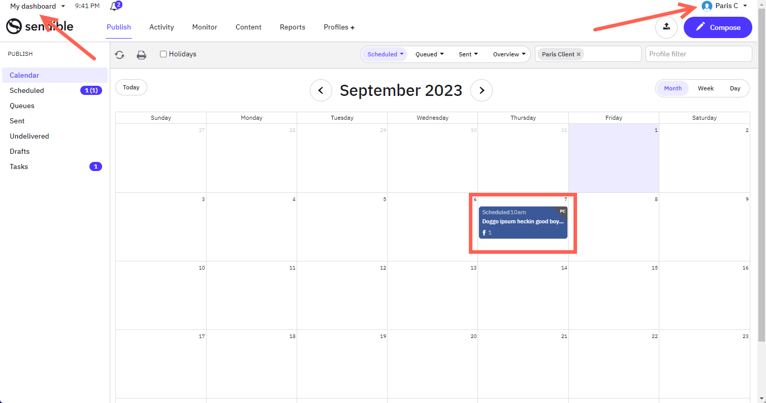 Calendar showing only the client's posts.