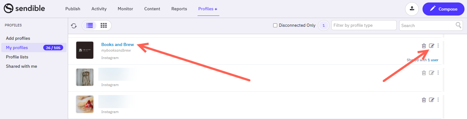 Screenshot of the Profiles view
