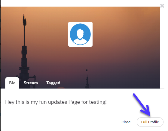 Image shows the Full Profile button being clicked