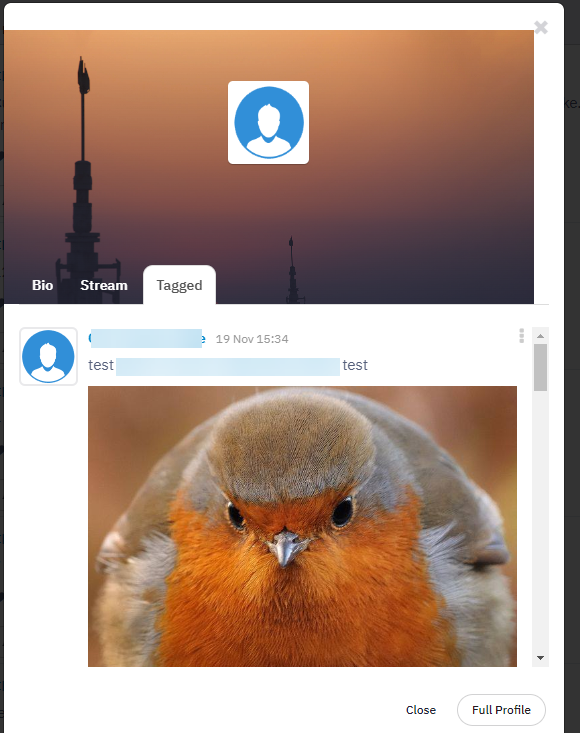 Image shows the tagged section of the Profile