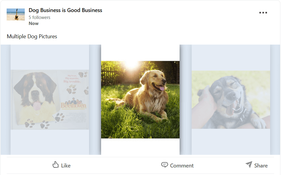LinkedInPDF_Carousel.png