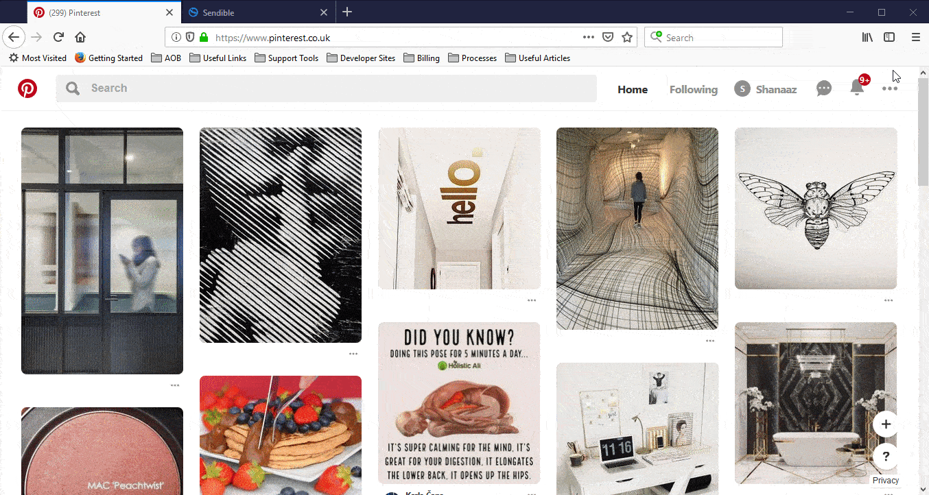 Pinterest_optimize.gif