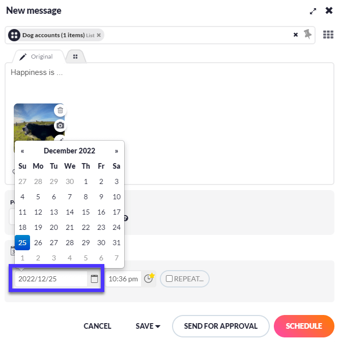schedule-message_choose-date.png
