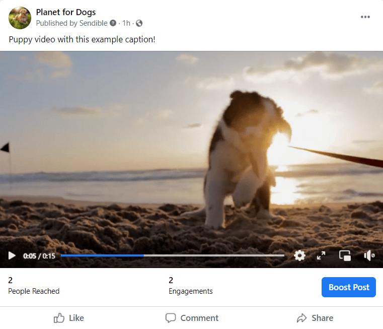 videos_facebook-post.png