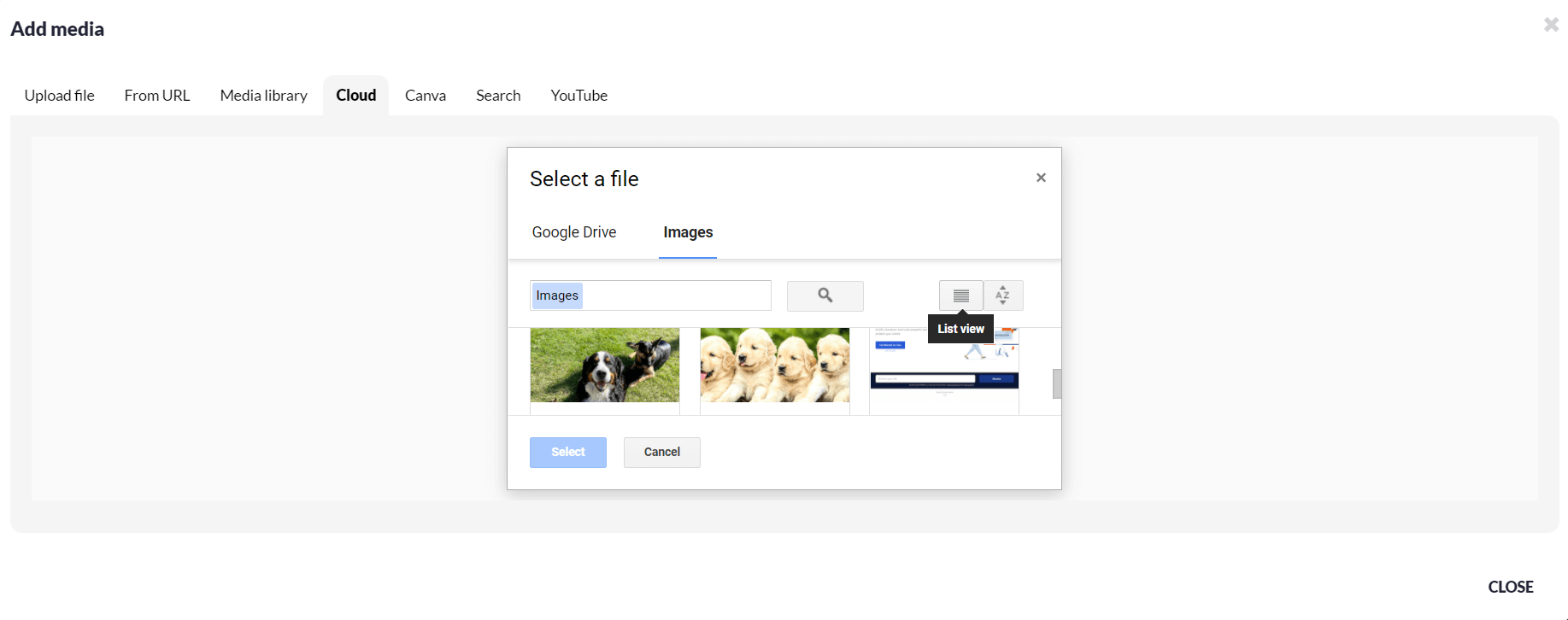 include-image_google-drive.png