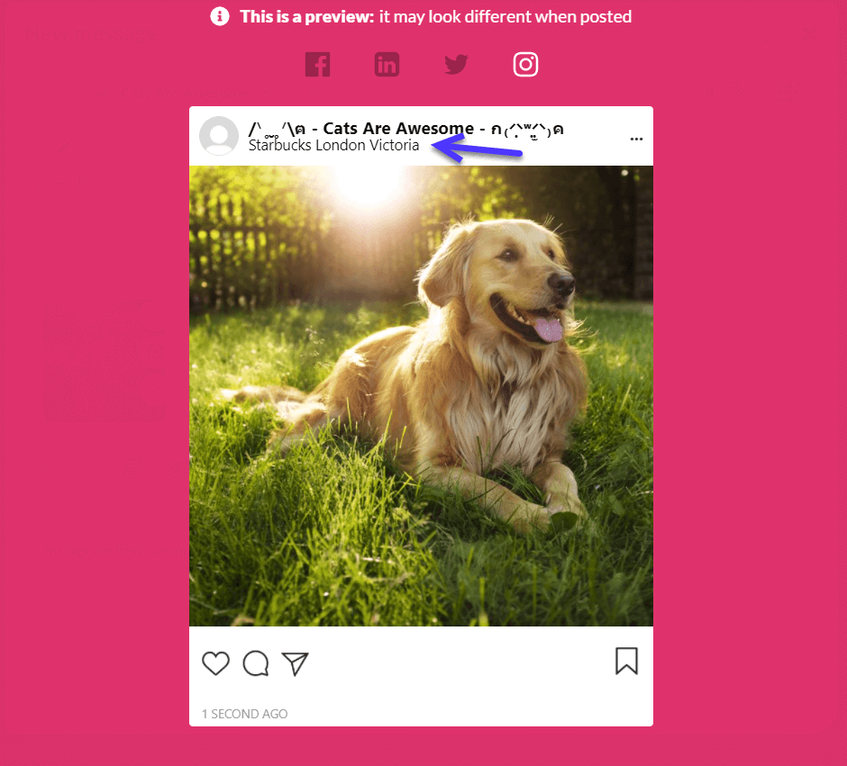 instagram-geolocation_preview.png