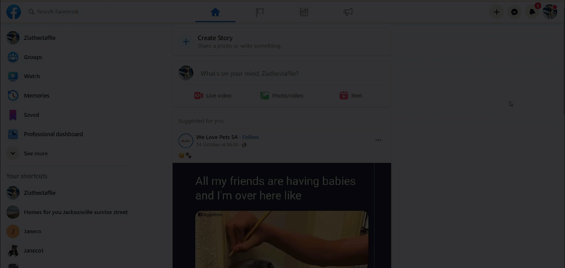 81B3FBC6-FB89-4FB5-B136-DA6D10D2CA0F.gif