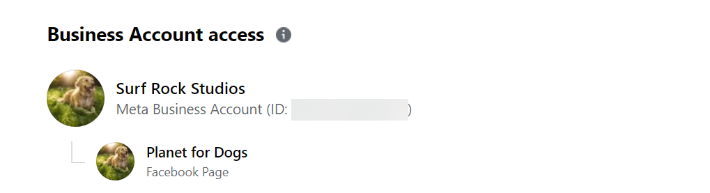 Image of Business Owner from Facebook's Page Access section